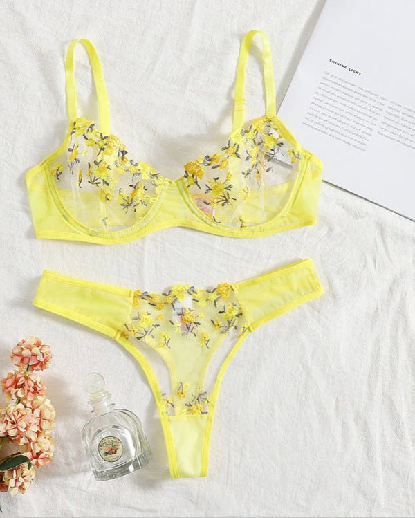 Stop & Stare Sheer Mesh Bra & Thong Lingerie - Sinderella