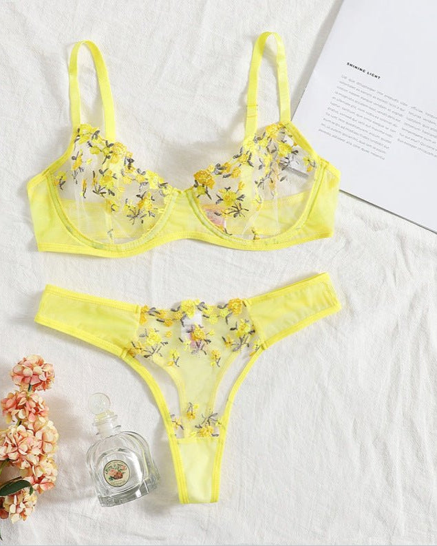 Stop & Stare Sheer Mesh Bra & Thong Lingerie - Sinderella